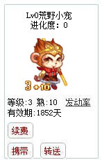 qq游戏3+10战神孙悟空宝宝有效期1800多天不带进化度详情图 qq游戏3+10战神孙悟空宝宝有效期1800多天不带进化度详情图