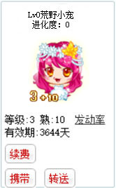 qq游戏3+10处女座宝宝有效期3600多天不带进化度详情图 qq游戏3+10处女座宝宝有效期3600多天不带进化度详情图